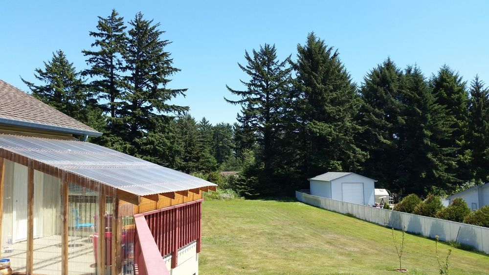 Arky'S B&B Smith River Exterior foto